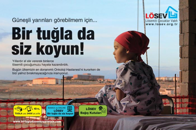 Do put one brick too for LÖSEV charity campaign