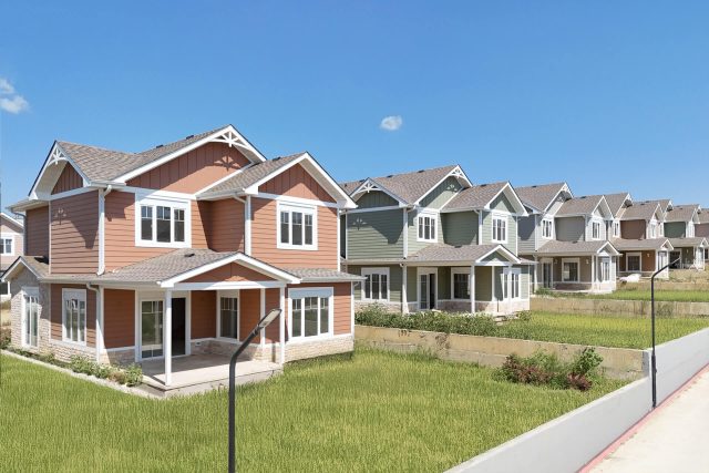 sun_flower_projesi_08