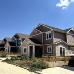 sun_flower_projesi_09