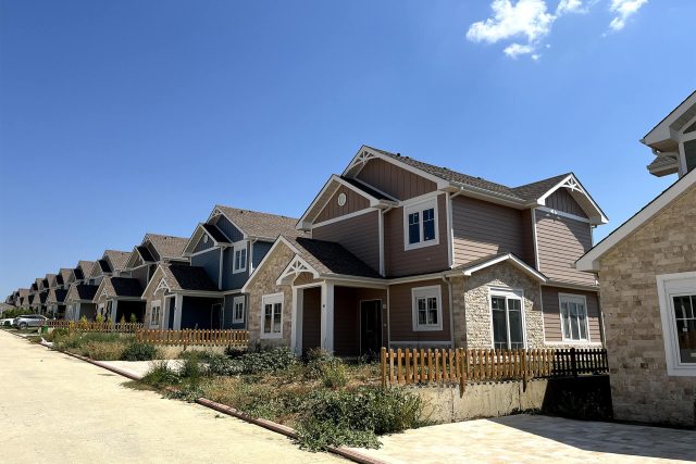 sun_flower_projesi_09